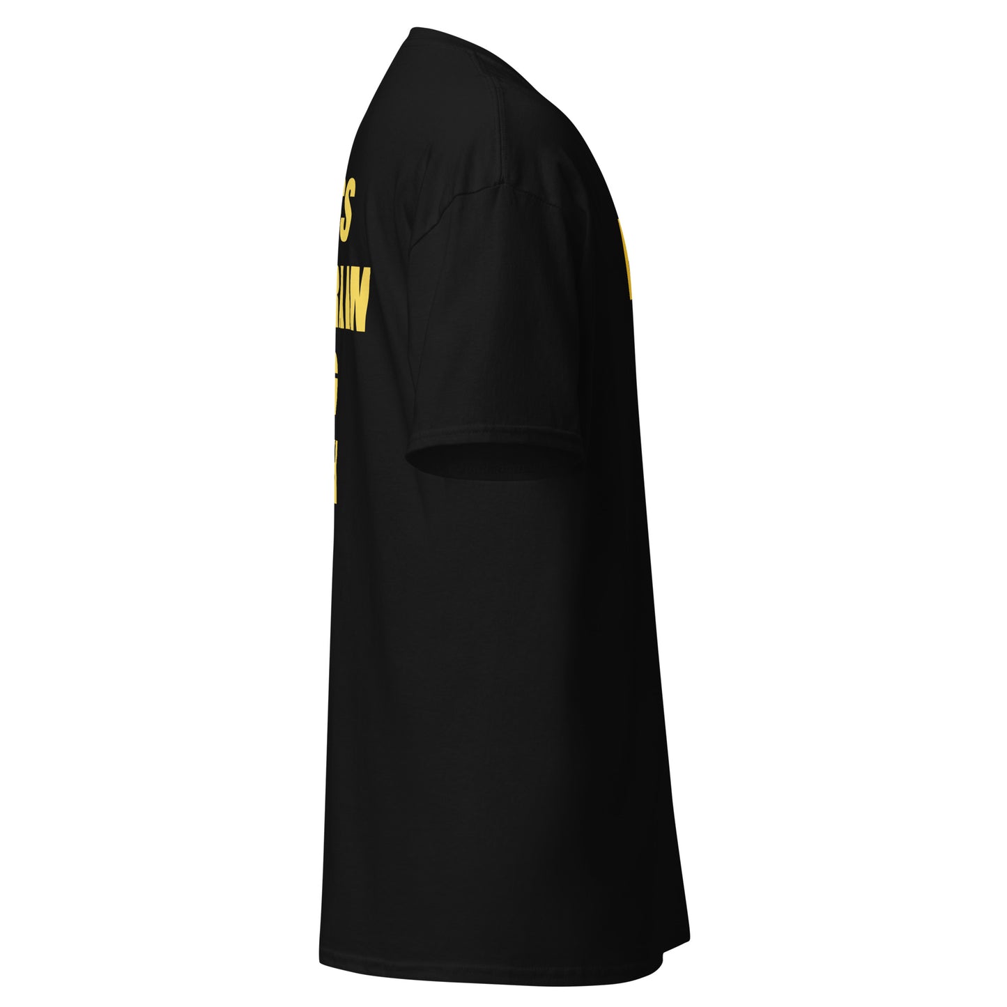 Entrepreneur streetwear T-shirt in black and gold print left side